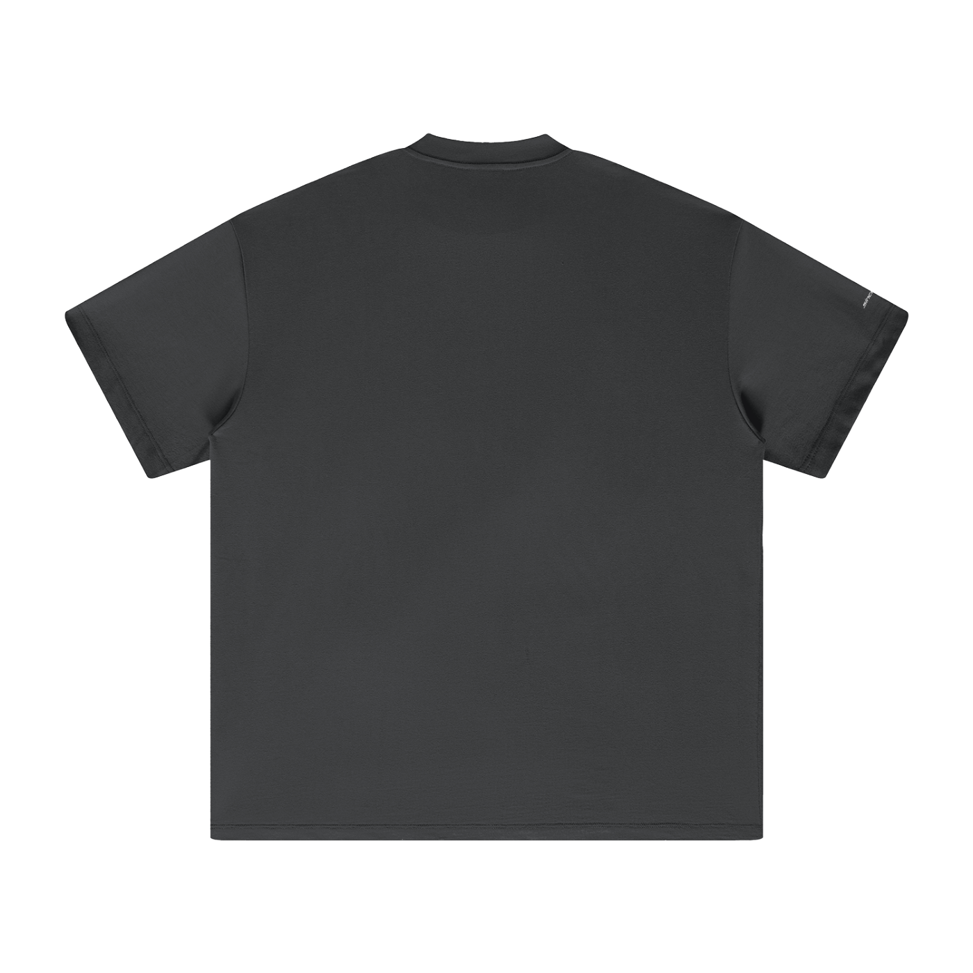 PFSL LongLogo Heavyweight T-Shirt